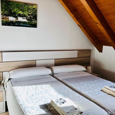 Apartamentos Zabalarena Basoa Orbaiceta Exteriör bild