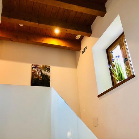 Apartamentos Zabalarena Basoa Orbaiceta Exteriör bild