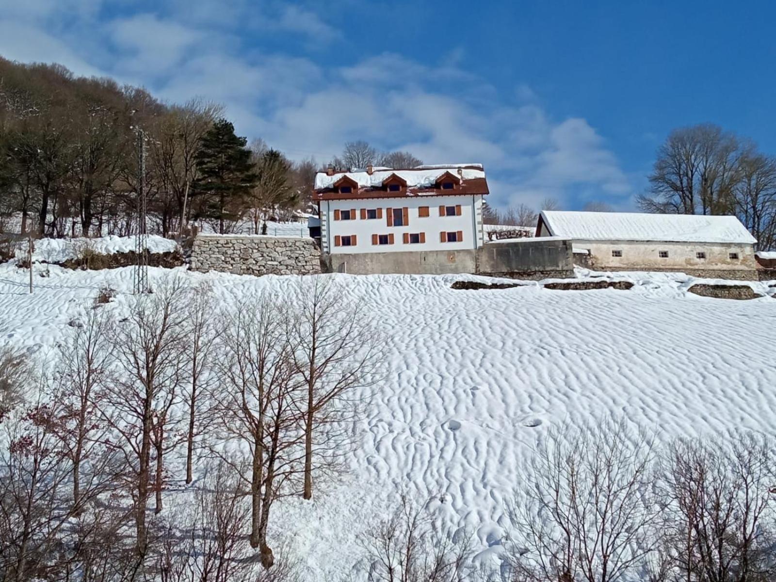 Apartamentos Zabalarena Basoa Orbaiceta Exteriör bild