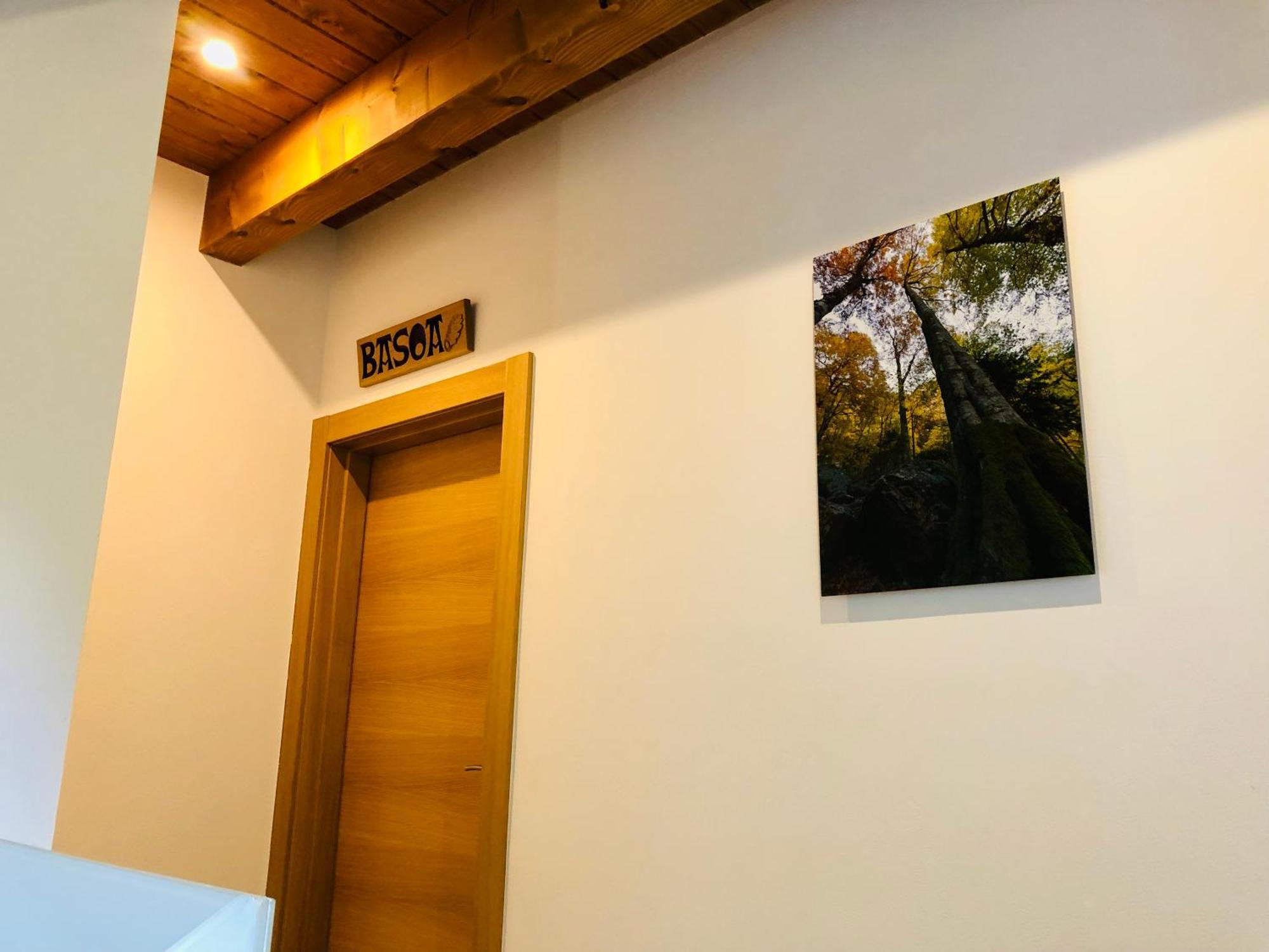 Apartamentos Zabalarena Basoa Orbaiceta Exteriör bild