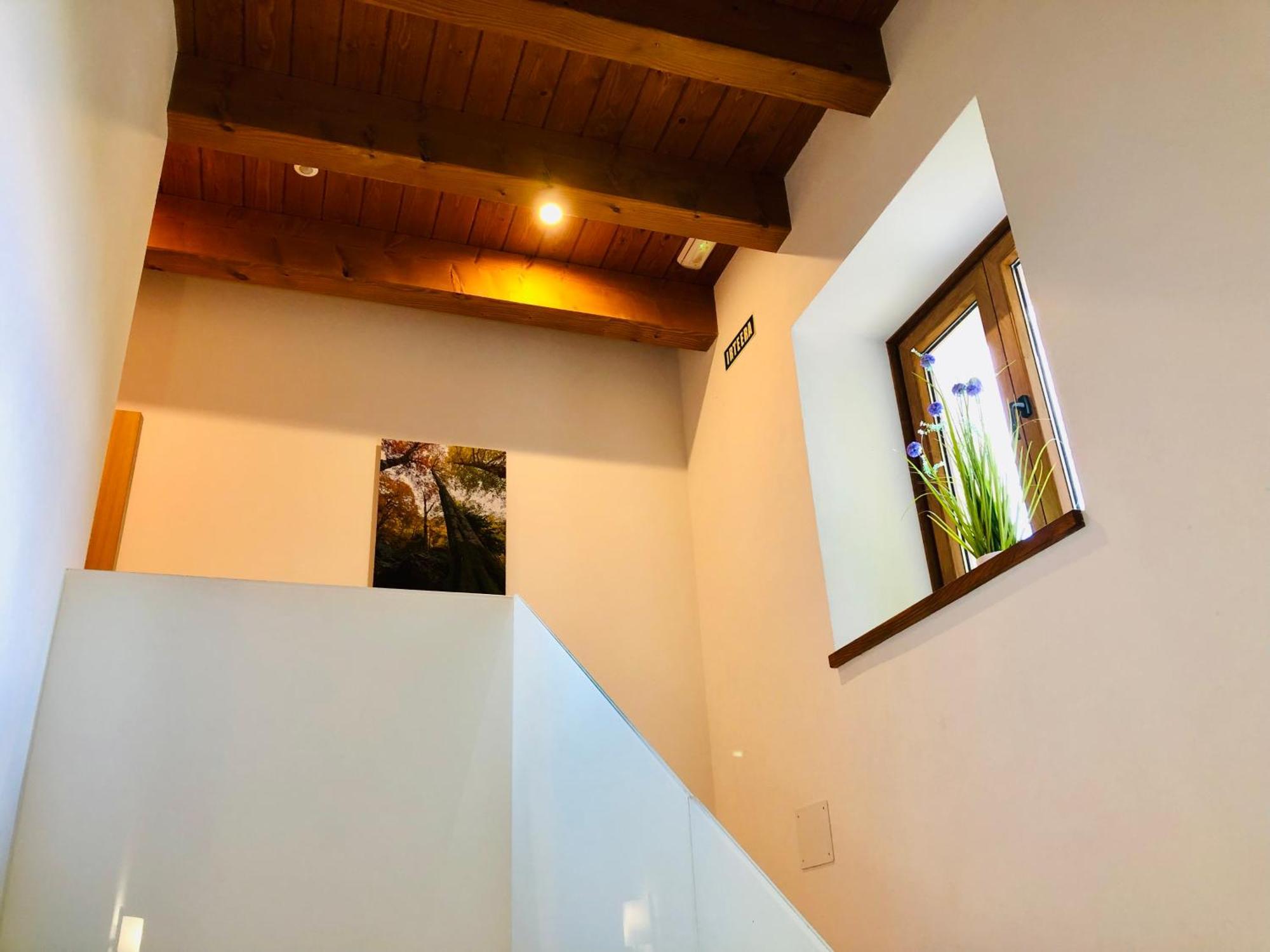 Apartamentos Zabalarena Basoa Orbaiceta Exteriör bild